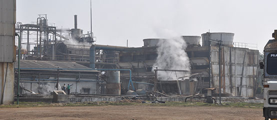 About - Sugar Mills In India | Dwarikesh Sugar Industries Ltd.